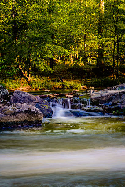 Tiny Cascades Tiny cascades as small tributaries along the bank of the Eno River in Durham, North Carolina. eno river stock pictures, royalty-free photos & images