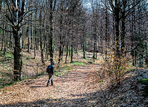 istock Man Hiking in the Woods 472579522