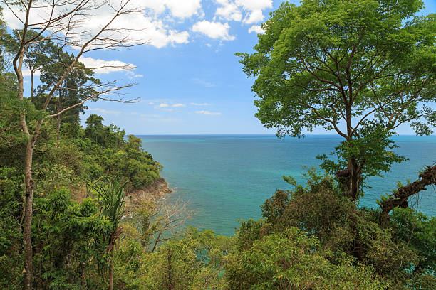 istock Khao Lak National Park 472580390