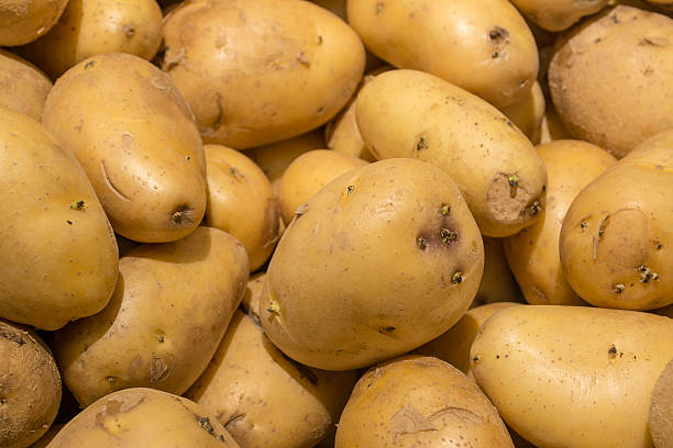 istock organic young potatoes  on market 472581672
