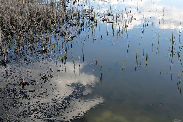 istock lake with reflection of the sky 472586574