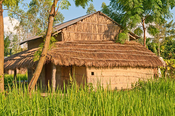 istock The native house in Chitwan National Park. 472592464