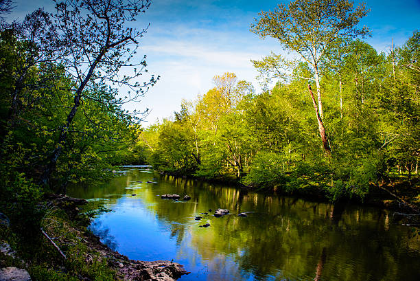 Spring Scene A beautiful view of the Eno River, captured early morning during spring season. eno river stock pictures, royalty-free photos & images