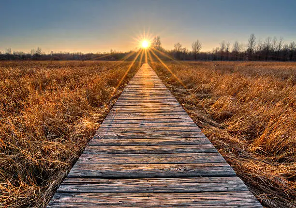 Photo of Prairie Boardwalk Sunset