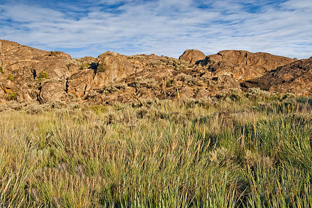 Rock Formations at Devil's Punchbowl Devil's Punchbowl is an inlet from Banks Lake formed by some of the many basaltic rock formations in the Central Washington scablands. This scene was photographed from Northrup Point in Steamboat Rock State Park near Grand Coulee, Washington State, USA. jeff goulden washington state desert stock pictures, royalty-free photos & images