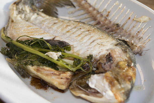 istock sea bream at the wine 472604142