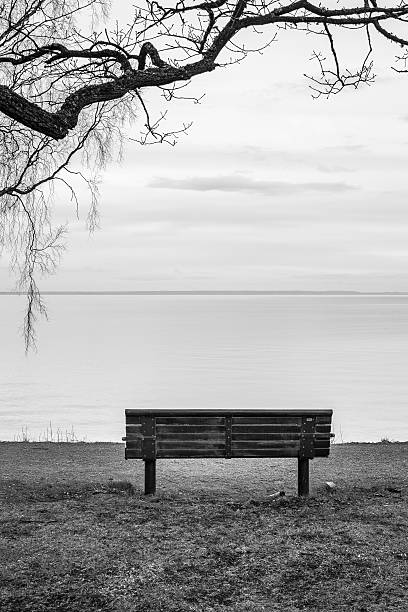 istock Gaze over the lake 472609710
