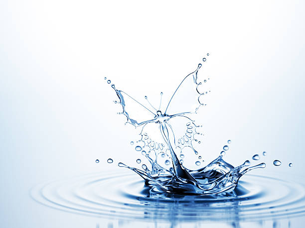 istock Splash Of Water Butterfly 472611642