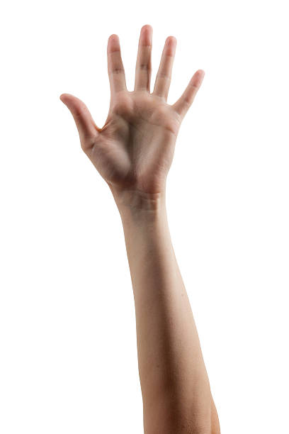 istock Many people's hands up isolated on white background. Various han 472611684