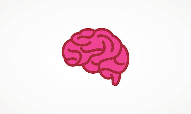 Brain Icon The icon of brain with red color electric organ stock illustrations