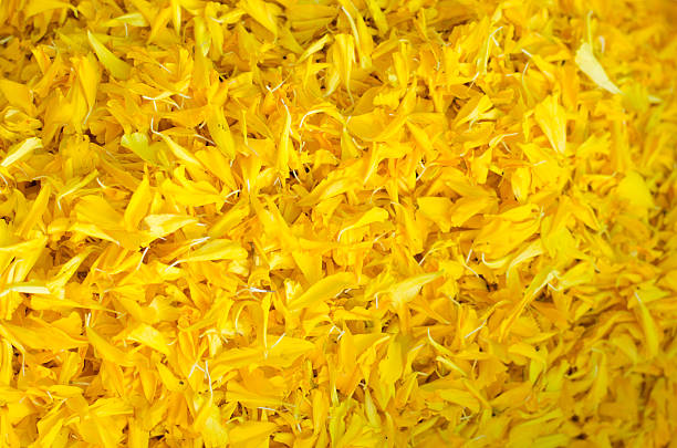 Marigold Flower rangoli Design for Diwali Festival , Indian Festival flower decoration