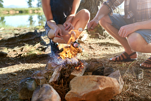 Cropped shot of two campers roasting marshmallows over a campfirehttp://195.154.178.81/DATA/i_collage/pu/shoots/804564.jpg