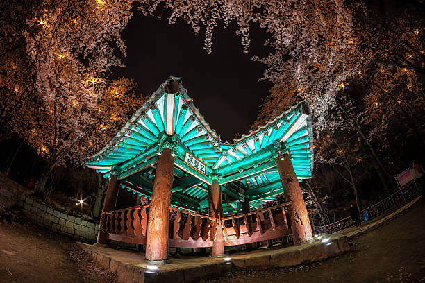 istock korean pagoda among cherry blossoms. 472619330