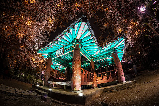 Traditional korean pagoda surrounded by cherry blossoms in a mountain in Gangneung, South Korea.