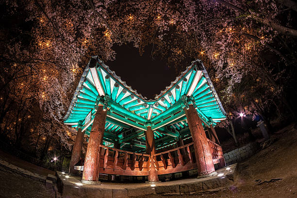istock korean pagoda among cherry blossoms. 472623368
