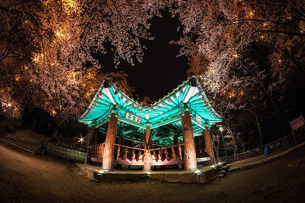 korean pagoda among cherry blossoms.