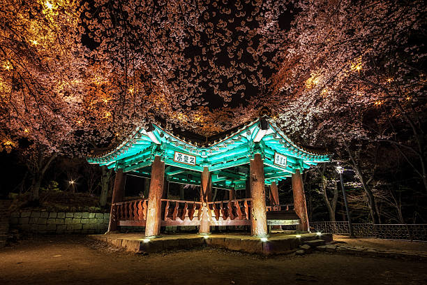 istock korean pagoda among cherry blossoms. 472623374