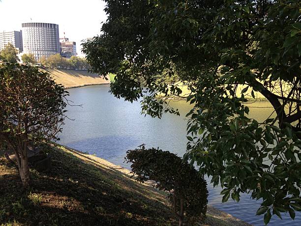 istock park in Tokyo, summer 472623398
