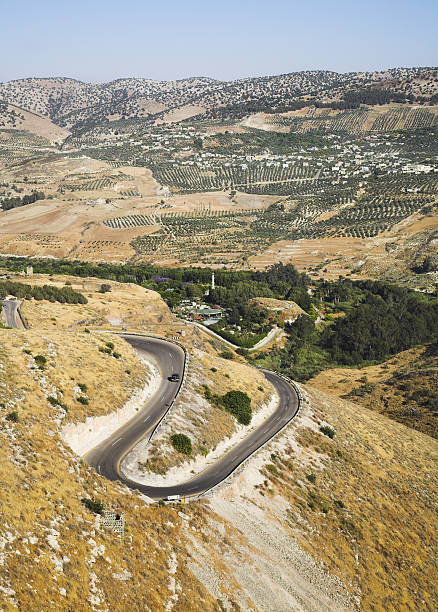 sources d'eau, près de la frontière israélo-jordanienne - norway snake street construction photos et images de collection