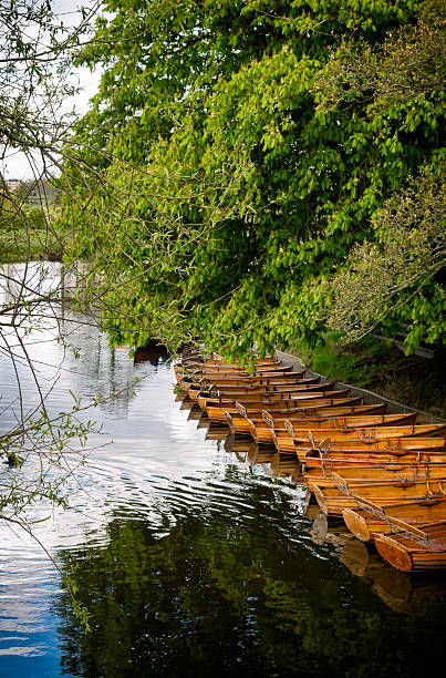 remo barcos amarrados en el río stour - john constable fotografías e imágenes de stock