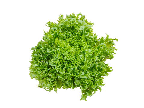 Green salad vegetable isolated on white background