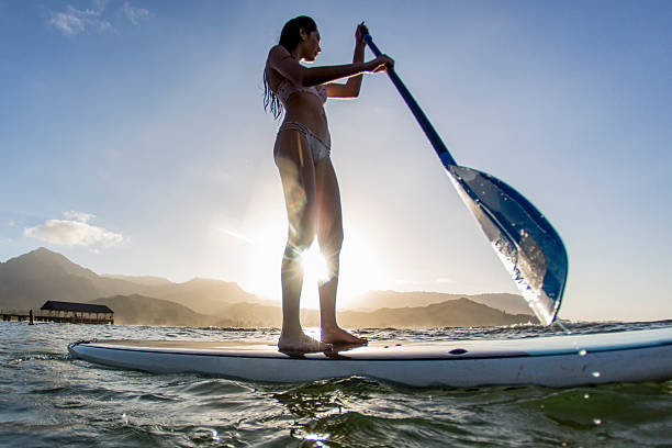 atraente feminino prancha de - women paddleboard bikini surfing imagens e fotografias de stock