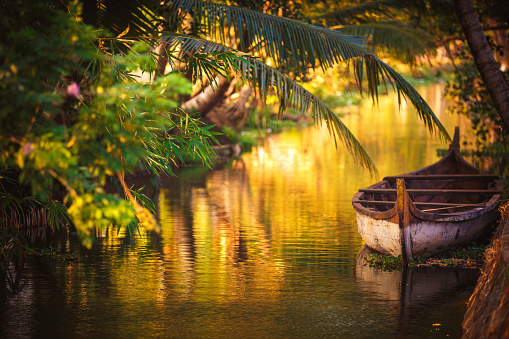 Small boat moored in the backwaters of Kerala. India