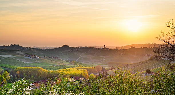 barbaresco (le langhe, piemonte, italia) - provincia di cuneo foto e immagini stock