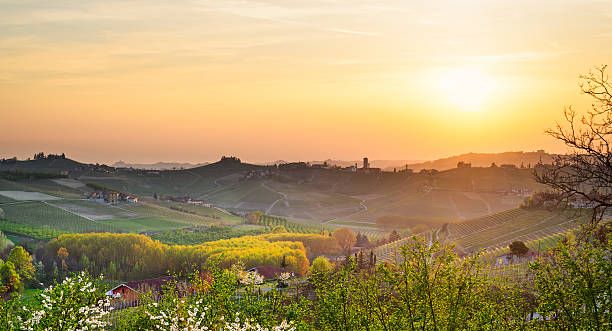 Le Langhe, Barbaresco (Piedmont, Italy) Le Langhe, Barbaresco (Piedmont, Italy) alba italy photos stock pictures, royalty-free photos & images
