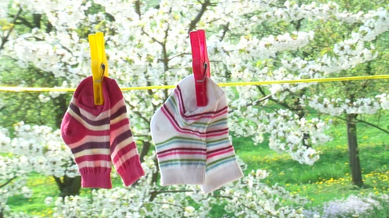 Socks of babies in springtime