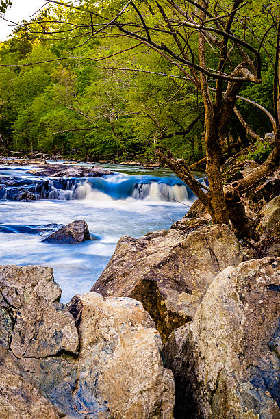 Huge Rocks An image of the huge beautiful rocks all along the Eno River in Durham, North Carolina. eno river stock pictures, royalty-free photos & images