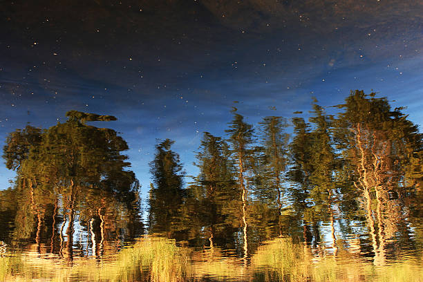 REFLECTION IN THE WATER