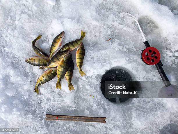 Ice Fishing Equipment And Catch Stock Photo - Download Image Now - 2015, Alberta, Bucket