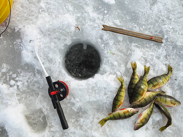 istock Ice fishing, equipment and catch 472641290