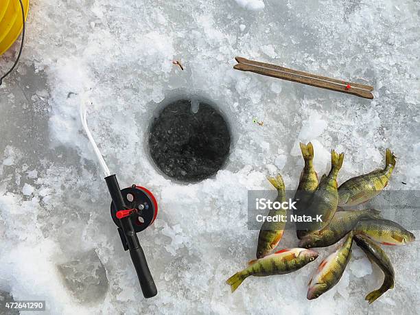 Ice Fishing Equipment And Catch Stock Photo - Download Image Now - Ice Fishing, 2015, Alberta