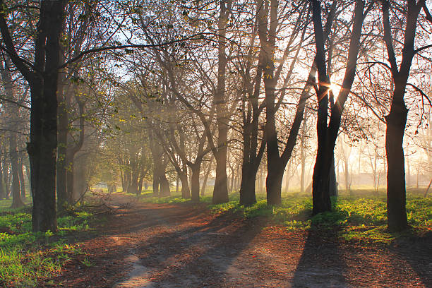 istock The first rays of the rising sun 472641608