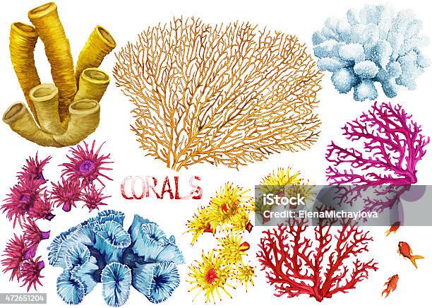Watercolor Corals Set Stock Illustration - Download Image Now - Coral - Cnidarian, Watercolor Painting, Reef