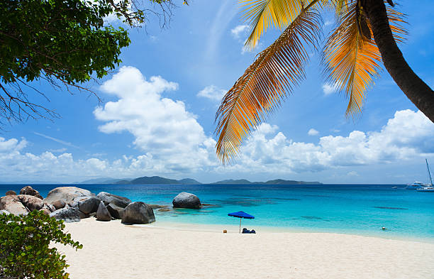 istock Beautiful beach in Caribbean 472651976
