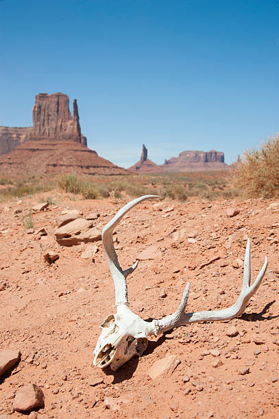 istock Monument Valley Navajo Tribal Park 472655056