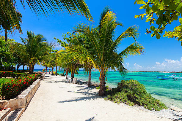 istock Akumal beach in Mexico 472655650