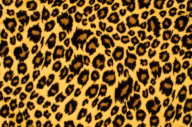 Brown leopard fur pattern. stock photo