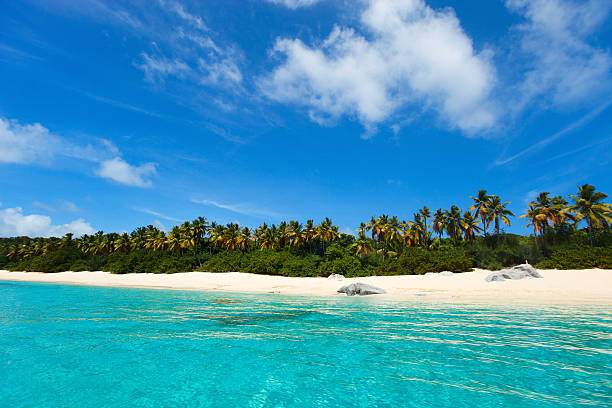 istock Picture perfect beach at Caribbean 472658372