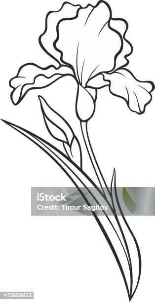 Силуэт Ирис Цветок Векторные Татуировки Иллюстрация — стоковая векторная графика и другие изображения на тему Ирис - растение