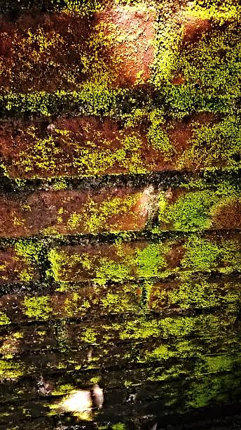 mur - brick wall brick surrounding wall wall photos et images de collection
