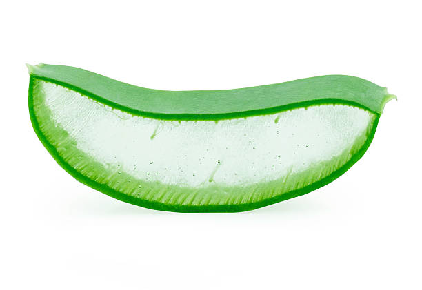 istock aloe vera fresh leaf isolated on white background 472661122