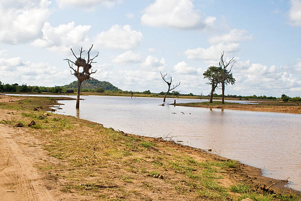 istock Water hole in Kruger National Park 472661546