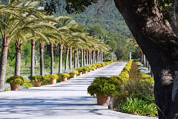 istock Grand entrance 472661738
