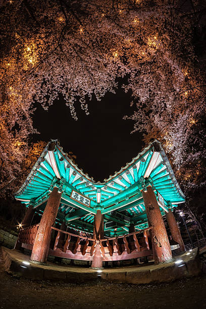 istock korean pagoda among cherry blossoms. 472664862