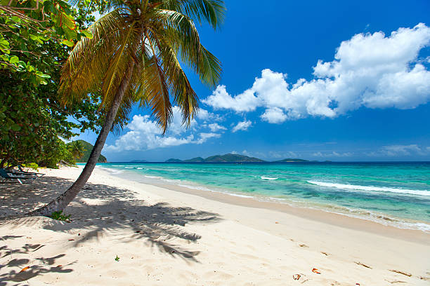 istock Beautiful tropical beach at Caribbean 472665298