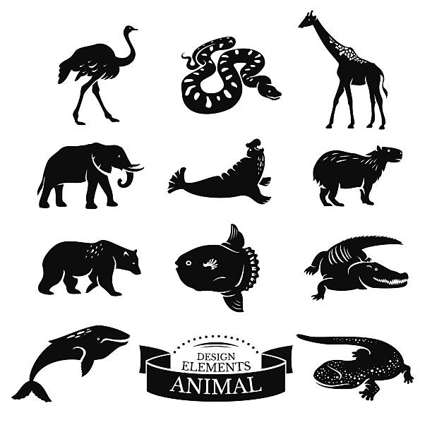 Stencil graphic icons of wild animals vector art illustration